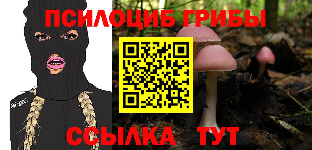Галлюциногенные грибы GOLDEN TEACHER Майский