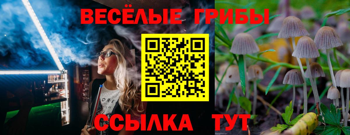 Майский  продажа наркотиков  Галлюциногенные грибы Psilocybe  Вход с VPN  Галлюциногенные грибы Magic Shrooms 